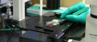 Precision Genomics Laboratory